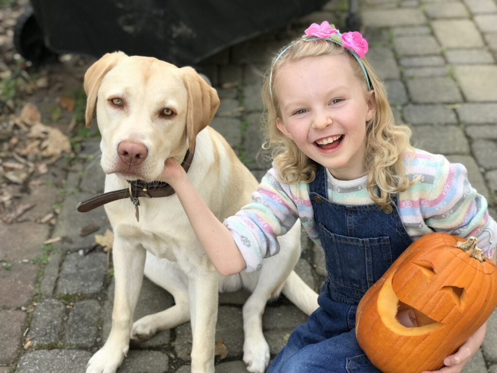 little girl and yellow lab with a carved pumpkin