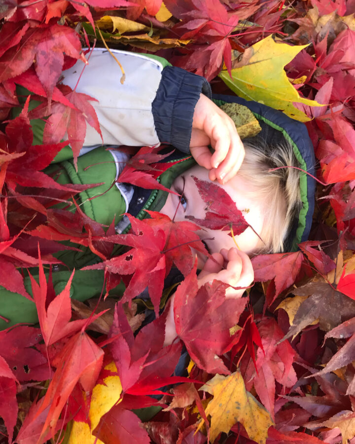 boy buried under a pile of red fall leaves