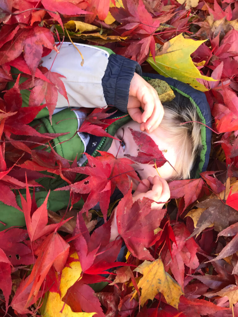 child buried in red fall leaves peeking out