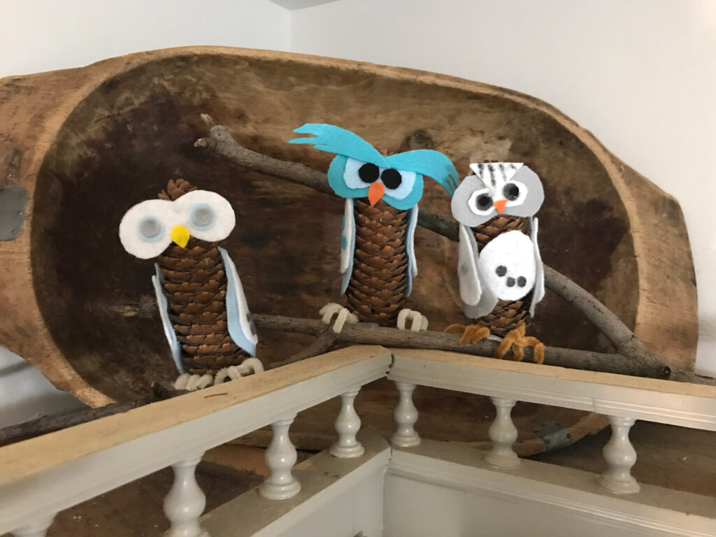 3 pinecone owls on a ledge