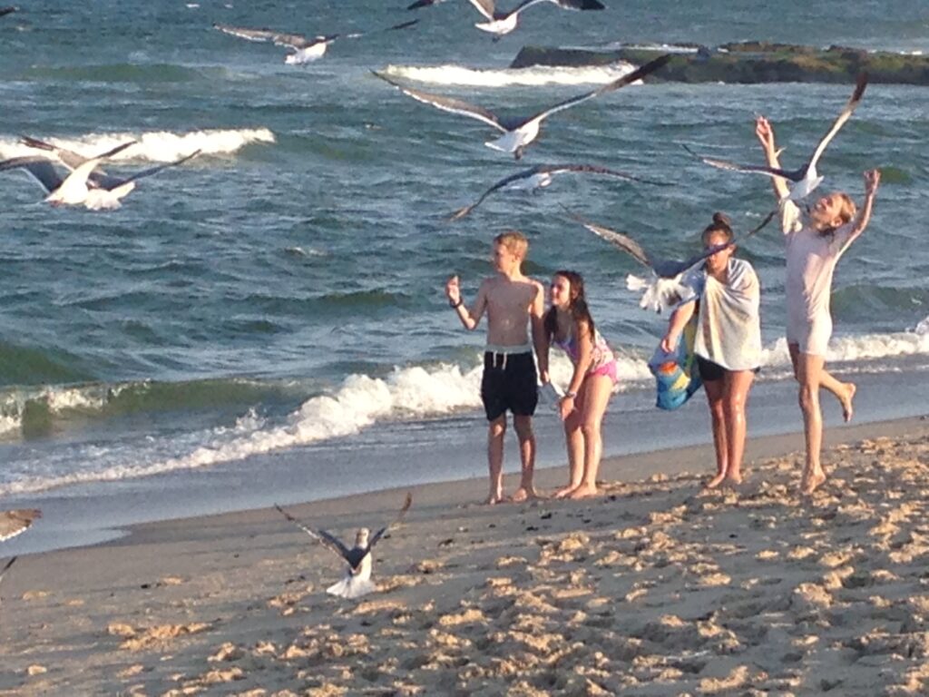 children experiencing Hygge in the summer with family playing with the seagulls on the beach
