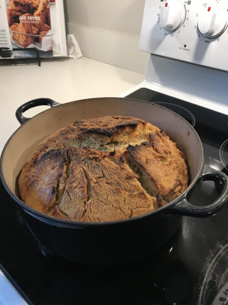 fresh baked sourdough bread in a dutch oven