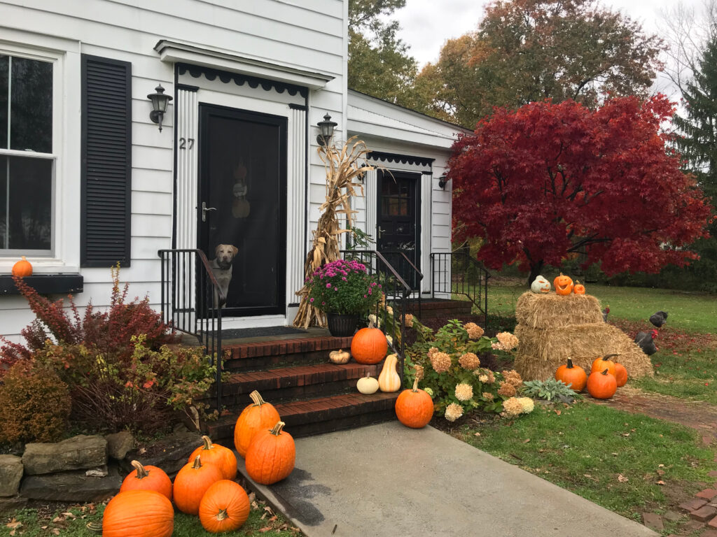 a fall front porch display with pumpkins, hay bales, and cornstalks
