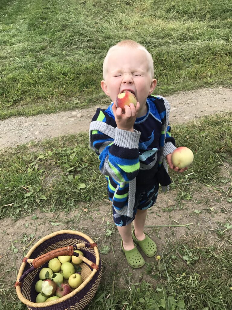 boy biting an apple