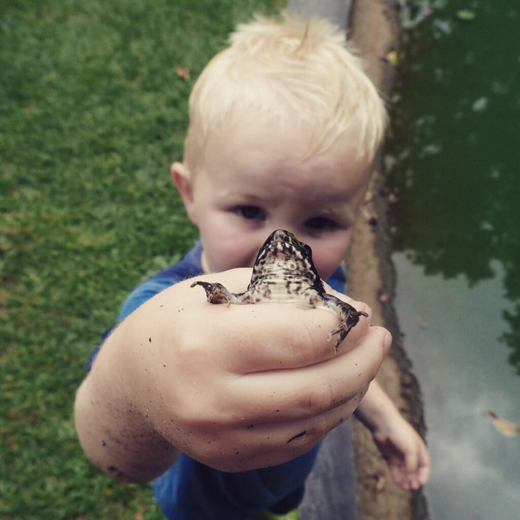 little boy holding up a frog to the camera