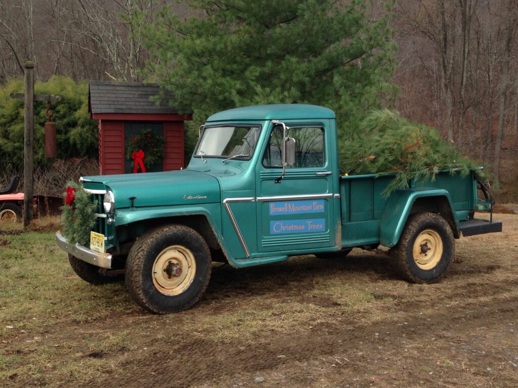 green blue old truck with christmas trees in back