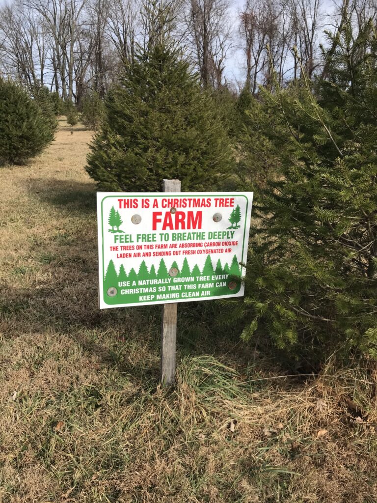 a sign in a Christmas tree farm