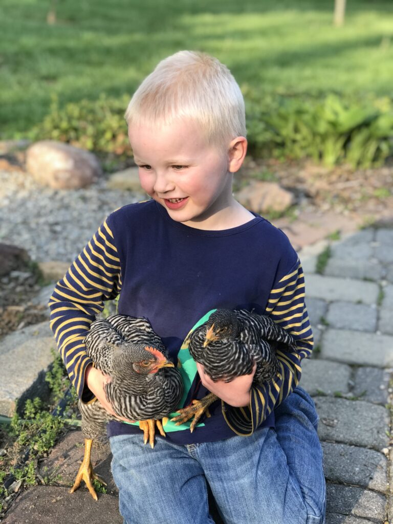 boy holding chickens