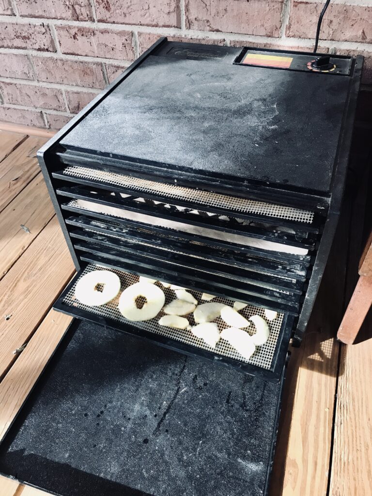 an Excalibur dehydrator with apple tray