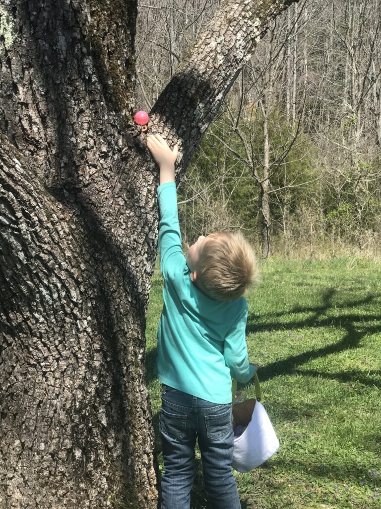 boy reaching up to find an Easter egg