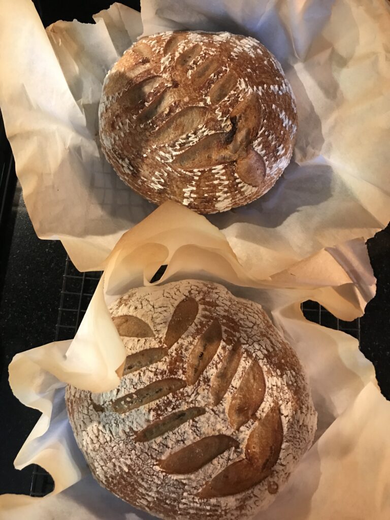 2 loaves of sourdough bread on baked parchment paper