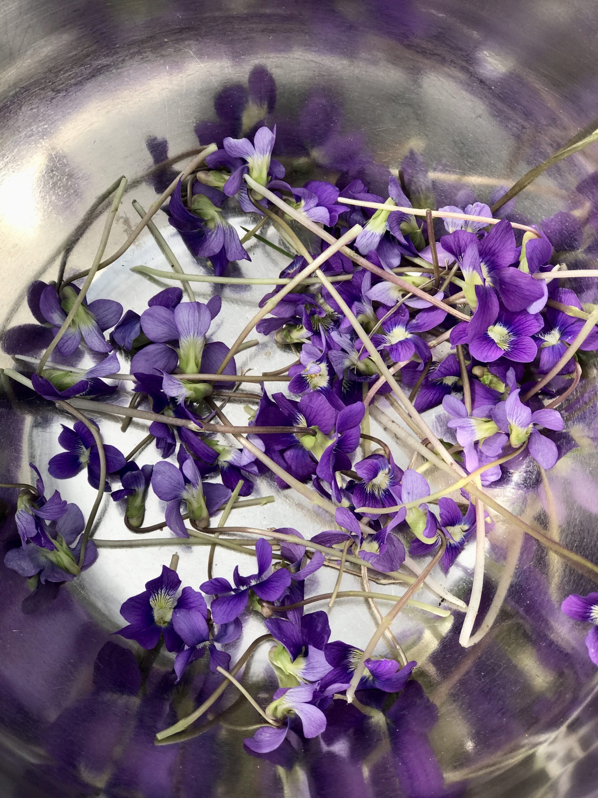 a bowl of foraged violets