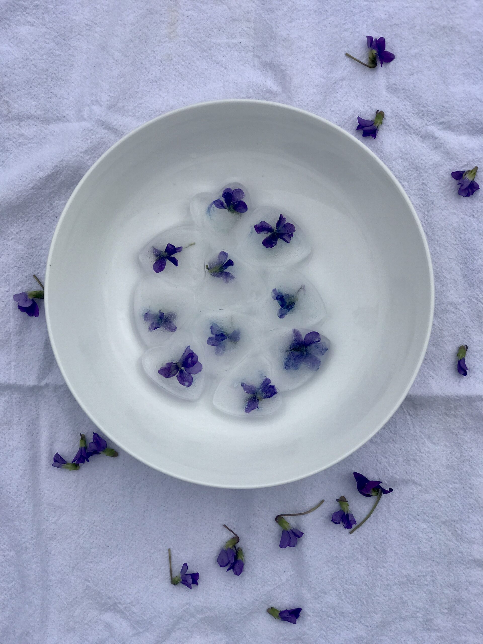 violet ice cubes in a bowl
