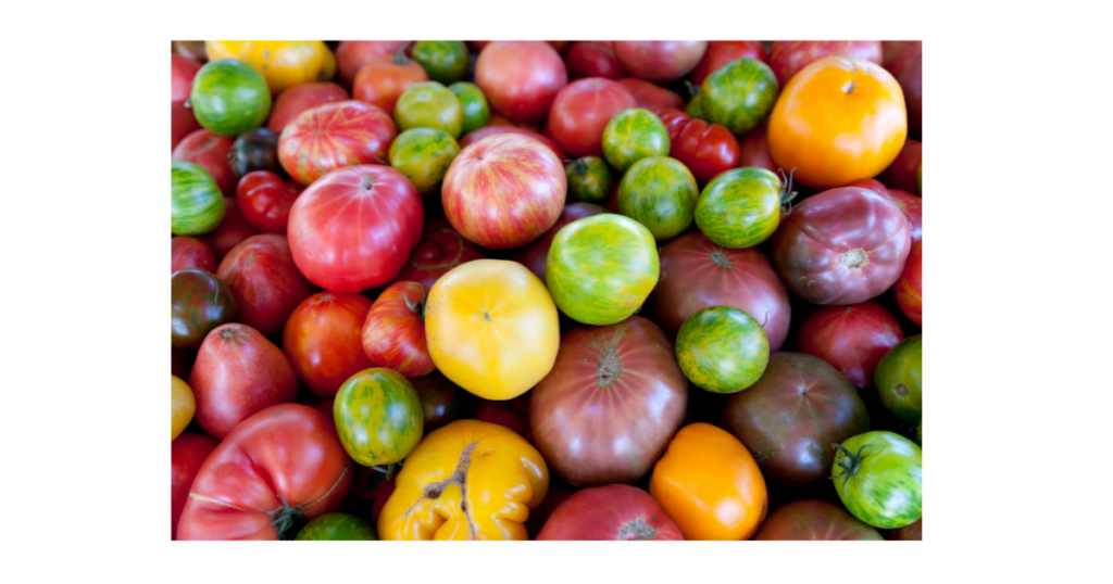 colorful heirloom tomatoes
