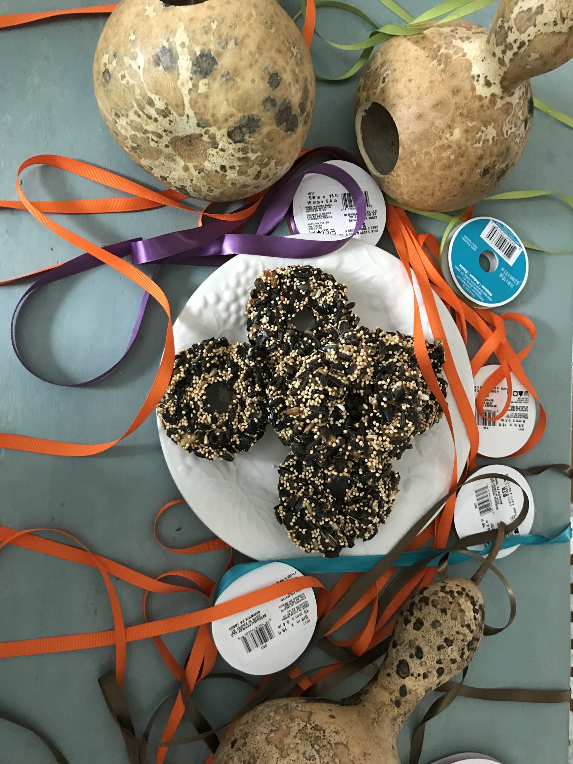 Bird Seed Ornaments - Seasoned with Joy