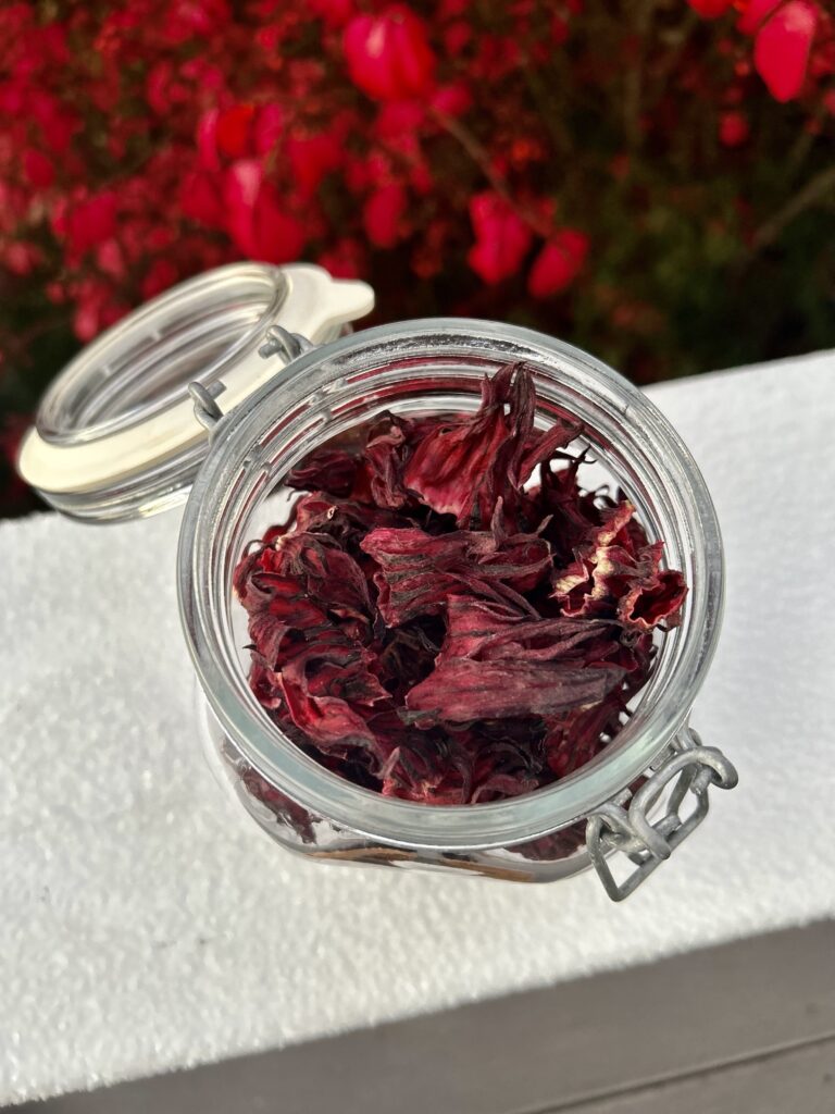 jar of dried hibiscus