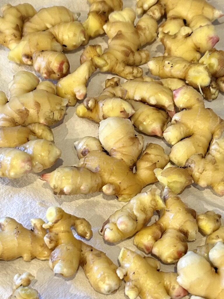 tray of fresh picked ginger