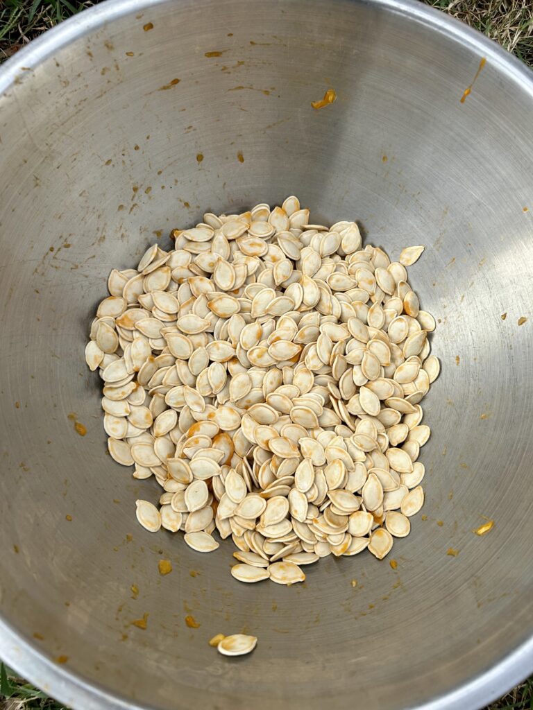 separated pumpkin seeds in a stainless steel bowl
